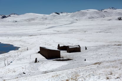 Una mujer camina a su casa en el altiplano puneño, en julio de 2016.