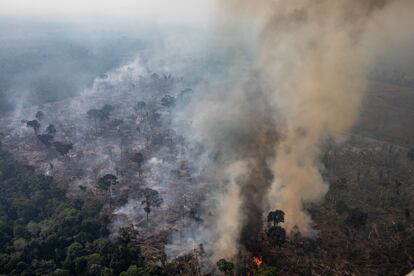 Vista aérea de un incendio el 25 de agosto de este año en Porto Velho, Rondonia, en Brasil. Según el Instituto Nacional de Investigaciones Espaciales (INPE), el número de fuegos detectados por satélite en Brasil es el más alto desde 2010.