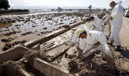 Varios operarios limpian las acequias en Lorca para evacuar el agua que inundaba los campos.