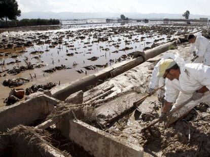 Varios operarios limpian las acequias en Lorca para evacuar el agua que inundaba los campos.