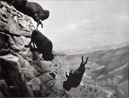 David Wojnarowicz, 'Untitled (Buffalo)', 1988-89. Esta imagen, tomada en un diaporama, pasó a la posteridad en la portada de su single 'One' (1989).