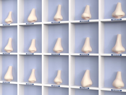 Assortment of artificial noses in shelf, 3d rendering