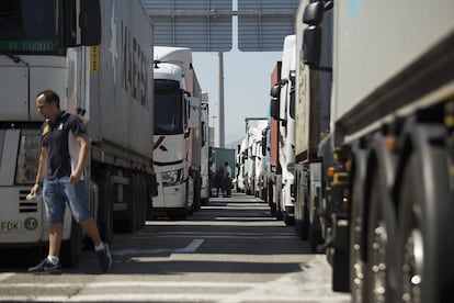 Varios camiones esperan el acceso a la terminal APT del Puerto de Algeciras.