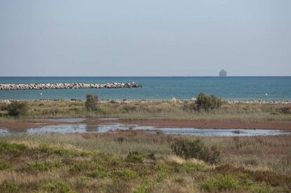 El delta del Llobregat, al Prat.