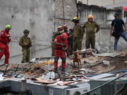 Probabilidade de encontrar pessoas com vida sob os escombros de dezenas de edifícios demolidos pelo terremoto na capital diminui a cada hora