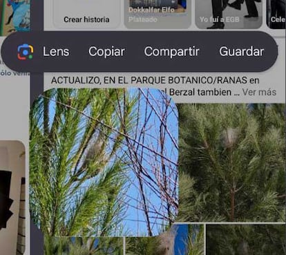 Copia rápida de una imagen con los teléfonos Google Pixel