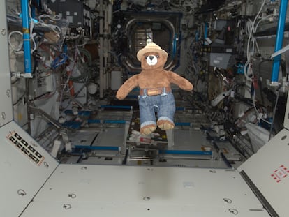 El osito 'Smokey Bear' flota libremente en la escotilla del laboratorio Destiny de la Estación Espacial Internacional (ISS), en mayo de 2012.