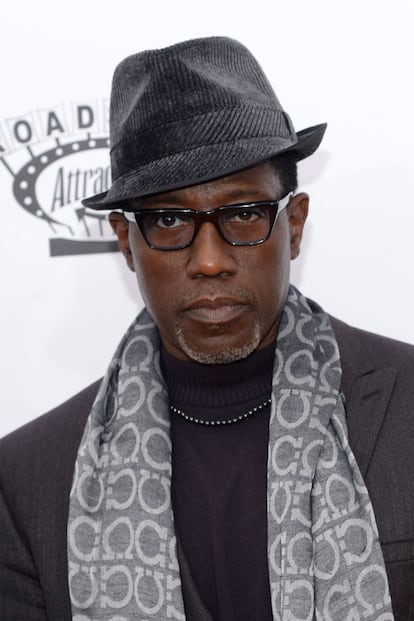 La web argentina Tu ídolo es un forro (Tu ídolo es gilipollas) recopila una abultada lista de casos de admiradas estrellas con un pasado de violencia de género (muchas veces silenciado o obviado en su perfiles). Entre ellos, Wesley Snipes. La actriz Halle Berry, con la que mantuvo una relación, le acusó en 2011 de haberle propinado una paliza tan brutal que perdió el 80% de su audición en uno de sus oídos.