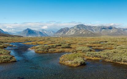 Esplanada de tundra en el ártico ruso.