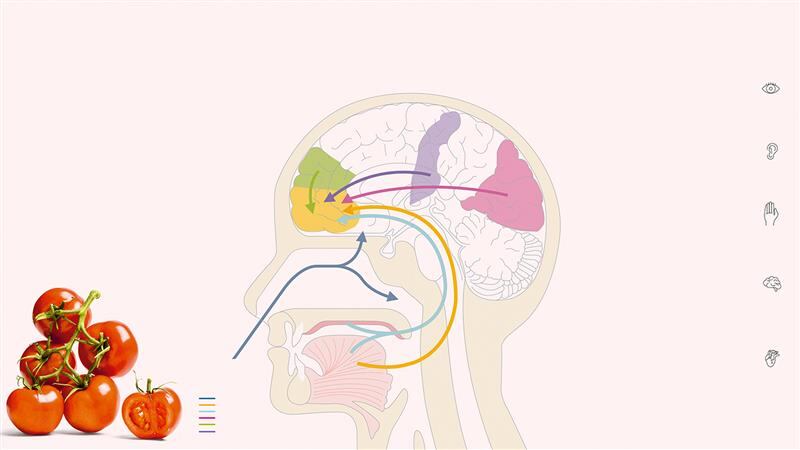 ¿Por qué hay que añadirle vinagre al agua de un huevo poché? ¿La leche reblandece la carne? ¿Podemos cocinar usando solo jugo de limón?