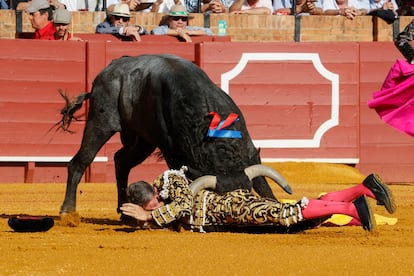 El diestro Manuel Escribano sufre una cogida en el primero de su lote durante la corrida celebrada este sábado en La Maestranza de Sevilla.
