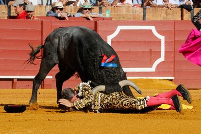 El diestro Manuel Escribano sufre una cogida en el primero de su lote durante la corrida celebrada este sábado en La Maestranza de Sevilla.
