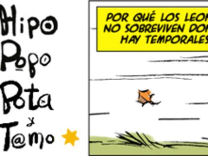 RAMÓN