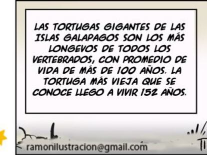 Ramón