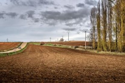 Una carretera comarcal de Segovia.