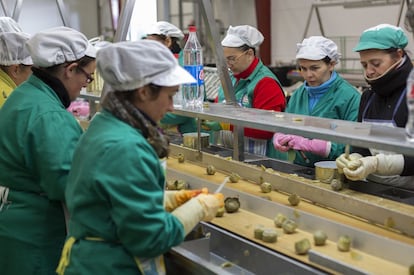 En la fábrica trabajan dos turnos de 50 personas al día. La mayoría son mujeres que, rodeadas de palés con latas de pimientos, limpian y envasan las alcachofas de una pequeña línea de producción, tan limpia y comprensible que parece de juguete.