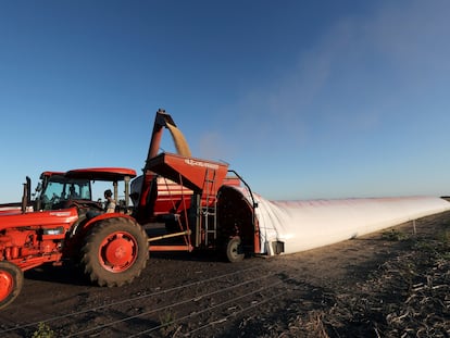 Un camión descarga granos de soja en una bolsa de silo en Chivilcoy, en las afueras de Buenos Aires, en abril de 2020.