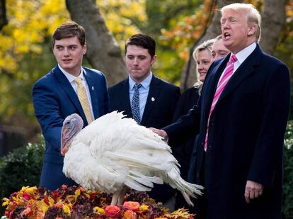 El presidente de EE UU indulta al pavo 'Drumstick'.