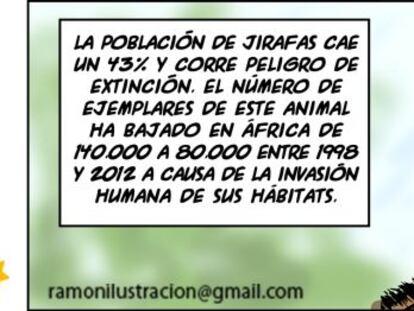 Ramón