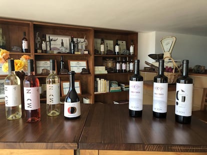 Vinos de Bodega Tempus.