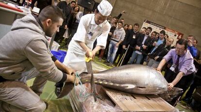 El chef tokiota Ya Hayamizu san inicia el corte del atún.