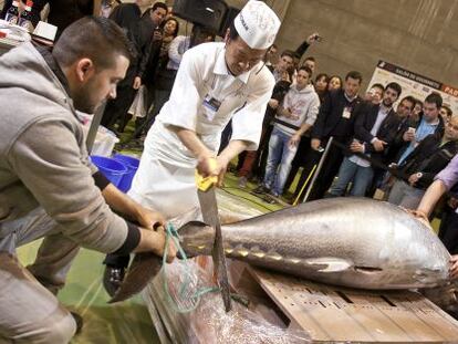 El chef tokiota Ya Hayamizu san inicia el corte del atún.