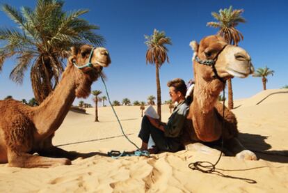 Un momento para la lectura junto a un dromedario en el desierto del Sáhara.