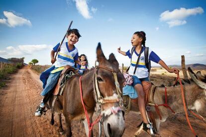 En la región brasileña del Sertão, al norte del país, los niños van a la escuela en burro, en caballo o carromato.