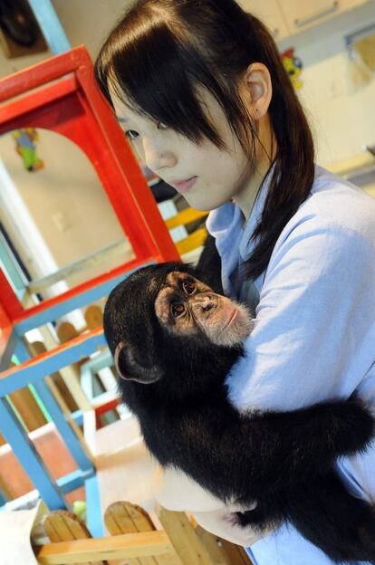 Zhou Shufang, bióloga recién licenciada, trabaja en la enfermería del zoológico de Shanghái y trata de concienciar a los visitantes sobre la necesidad de conservar la biodiversidad fuera del parque recreativo.