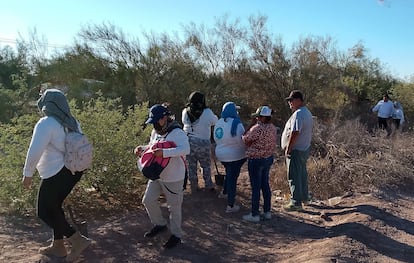 Familiares del Colectivo Buscadoras por la Paz de Sonora, en Hermosillo, el 6 de julio.