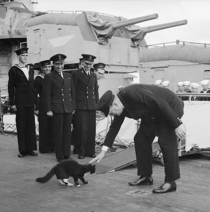 Churchill saluda a 'Blackie', el gato mascota del acorazado HMS Prince of Wales, en 1941.