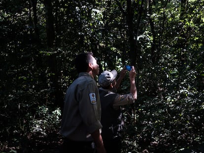 Los guardaparques Dario y Ciro durante un monitoreo en Sadiri, fotografiando una familia de monos Manechi para el registro de fauna.