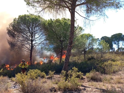 Efectivos del Infoca trabajan en la extinción del fuego declarado en Bonares (Huelva), este domingo.
