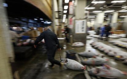 Un comprador se lleva uno de los ejemplares de atún rojo adquirido en el mercado de Tsukiji en la ciudad japonesa de Tokio.