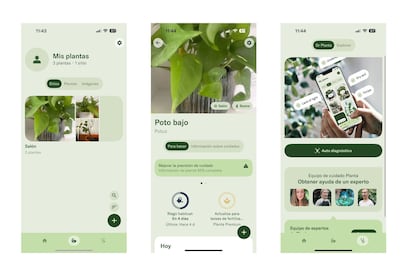 Captura de pantalla de la aplicación Planta.