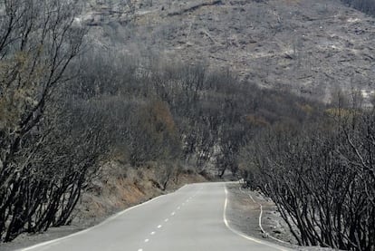 Terreno calcinado en Valle Gran Rey.