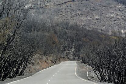 Terreno calcinado en Valle Gran Rey.