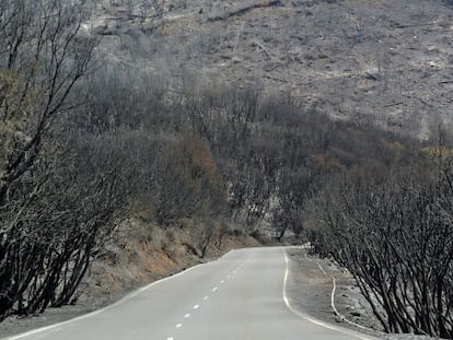 Terreno calcinado en Valle Gran Rey.