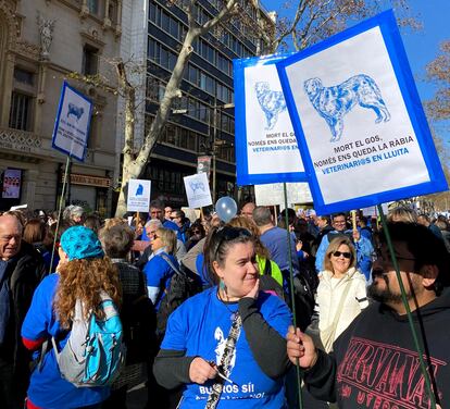 Veterinarios se manifiestan en Barcelona.