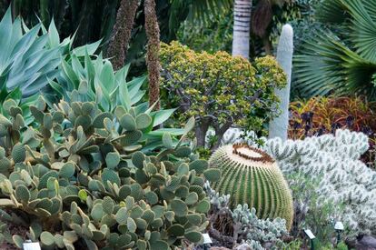 Detalle de los jardines de la Marquesa, en el municipio de Arucas (Gran Canaria).