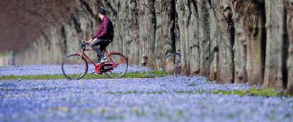 Un ciclista junto a su bici en Hanover (Alemania).