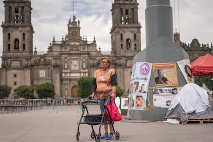 Laura Sánchez Martínez, en un plantón en el Zócalo de Ciudad de México, busca a su hijo Miguel Ángel Hernandez, desaparecido en Reynosa (Tamaulipas).