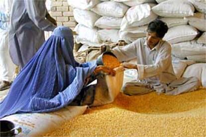 Una refugiada afgana recibe una ración de cereales distribuidos por la ONU en un campo en las proximidades de Peshawar, en Pakistán.