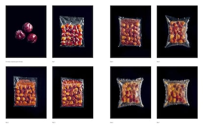 Páginas interiores de La guía de fermentación de Noma, de Rene Redzepi