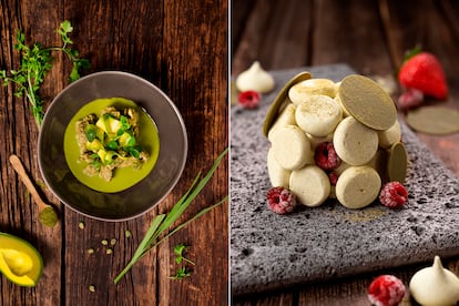 Dos platillos elaborados con hoja de coca.