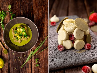 Dos platillos elaborados con hoja de coca.