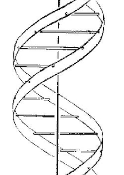 Detalle del gráfico con el que Watson y Crick explicaban en la revista Nature la estructura del ADN.