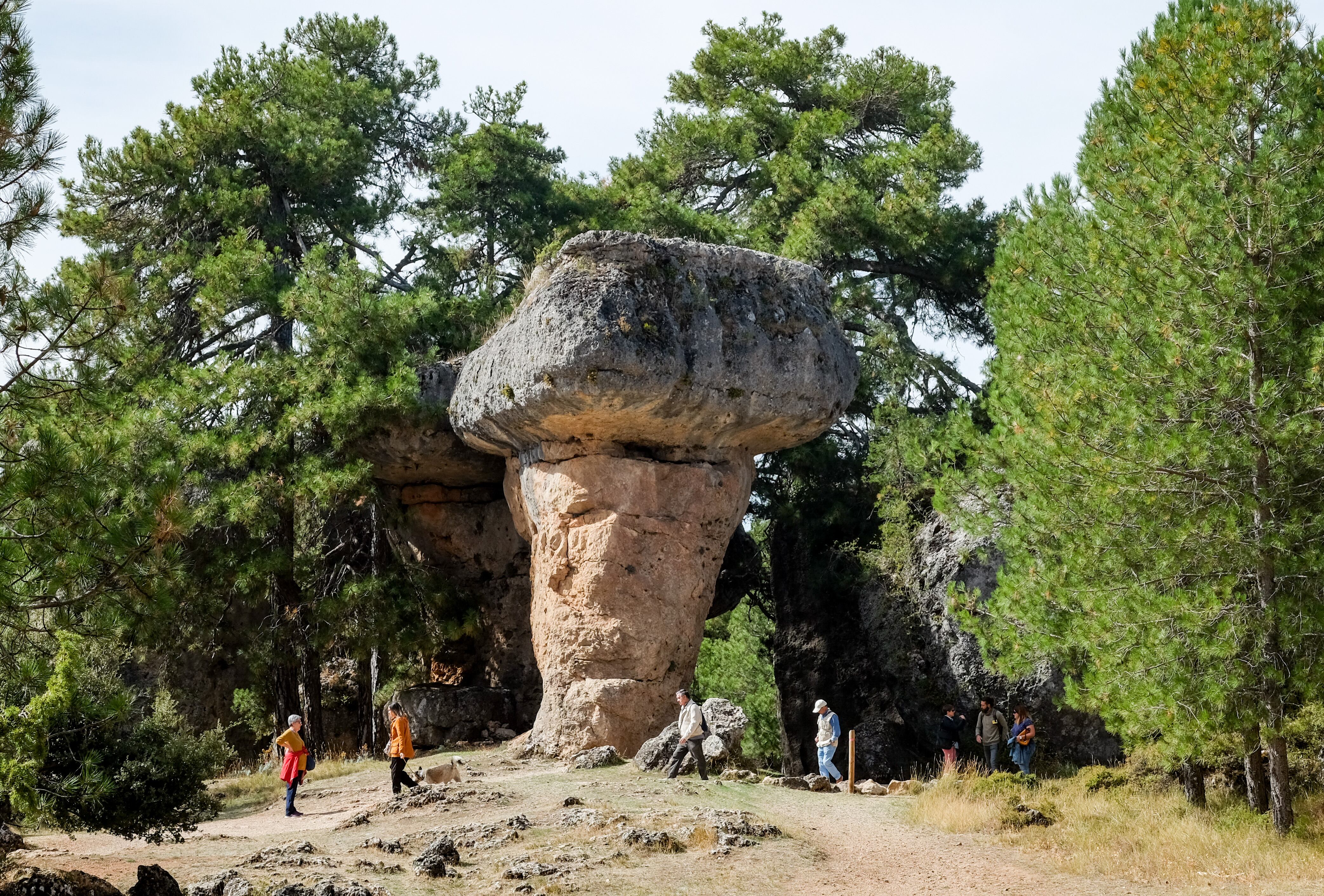 Formaciones de piedra en las inmediaciones de la Ciudad Encantada, en el parque natural de la Serranía de Cuenca (Castilla-La Mancha).