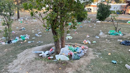 Alcorques utilizados como papeleras en las pasadas fiestas de San Isidro en Madrid.