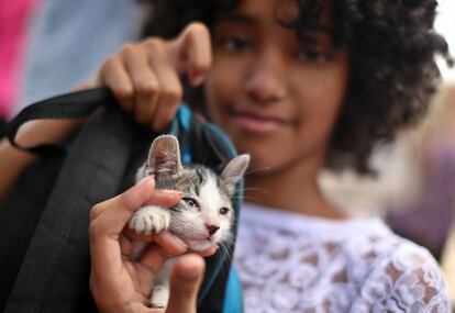 Una niña posa con un gato en una marcha para reclamar una ley de protección para los animales en La Habana (Cuba), el 15 de abril de 2018.